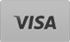 Visa accepted